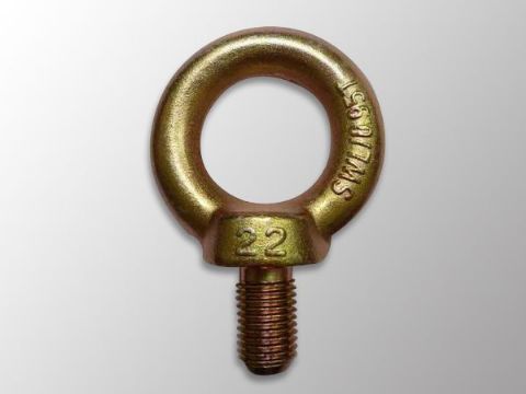 點(diǎn)擊查看詳細(xì)信息<br>標(biāo)題：DIN580 Eye Bolt 閱讀次數(shù)：1241