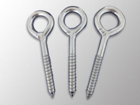 點(diǎn)擊查看詳細(xì)信息<br>標(biāo)題：Eye Bolt 閱讀次數(shù)：1181