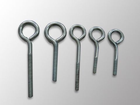 點(diǎn)擊查看詳細(xì)信息<br>標(biāo)題：Eye Bolt 閱讀次數(shù)：1155