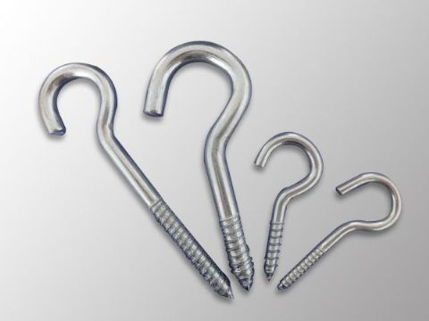 點(diǎn)擊查看詳細(xì)信息<br>標(biāo)題：Eye Bolt 閱讀次數(shù)：1060