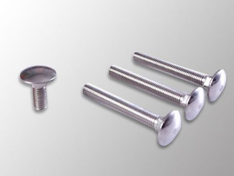 點(diǎn)擊查看詳細(xì)信息<br>標(biāo)題：Carriage Bolt 閱讀次數(shù)：1204