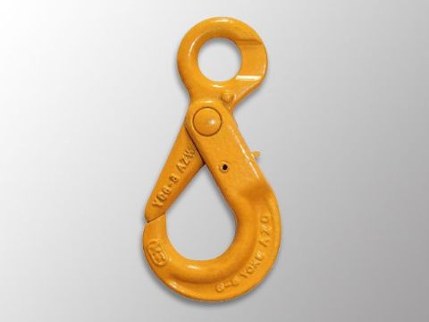 點擊查看詳細信息<br>標題：自鎖鉤 閱讀次數(shù)：1665