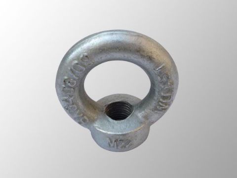 點(diǎn)擊查看詳細(xì)信息<br>標(biāo)題：吊環(huán)螺母 閱讀次數(shù)：1914
